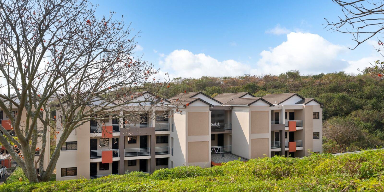 Strelitzia Terrace – Westwood Estate